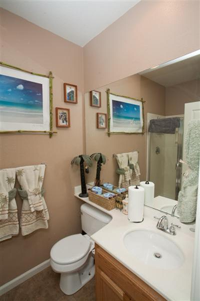 3145 Antonio Loop, Tracy, CA 95377 photo 9