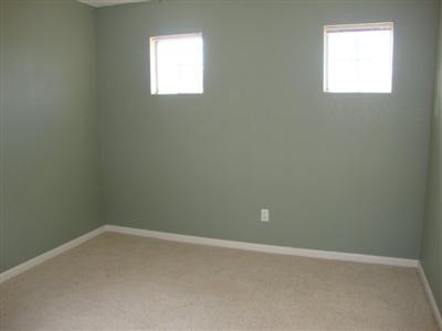 984 Long Barn Dr, Lathrop, CA 95330 photo 10