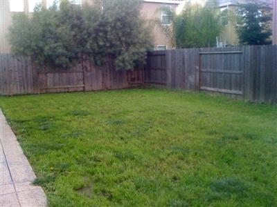 3209 Caden Dr, Modesto, CA 95355 photo 5