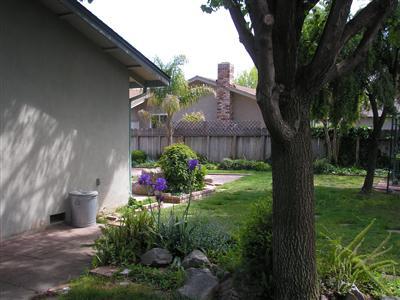 2409 Adrian St, Turlock, CA 95382 photo 9