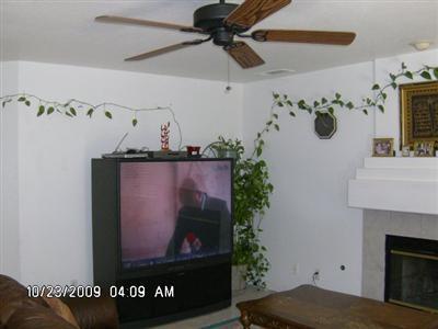 1824 Mark Mead Ln, Modesto, CA 95356 photo 5