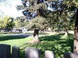 1332 Bunker Ln, Manteca, CA 95336 photo 3