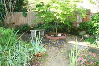 425 Myrtle Ave, Modesto, CA 95350 photo 12