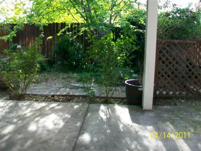 14115 Jasper St, Lathrop, CA 95330 photo 11