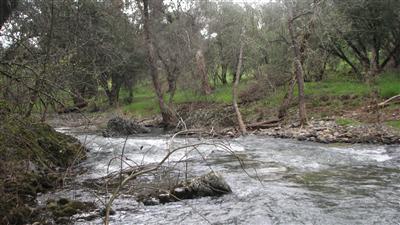 6640 Easterly Ranch Rd, Placerville, CA 95667 photo 3
