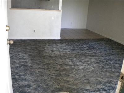 700 W Mccoy Ct #9, Lodi, CA 95240 photo 3