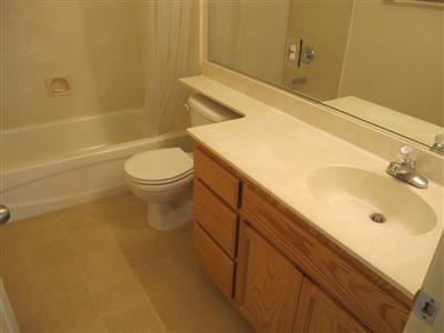 1443 Swallow Tail Ln, Manteca, CA 95337 photo 5