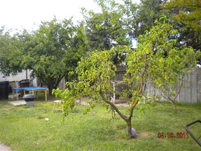 6850 W Antonio St, Winton, CA 95388 photo 10