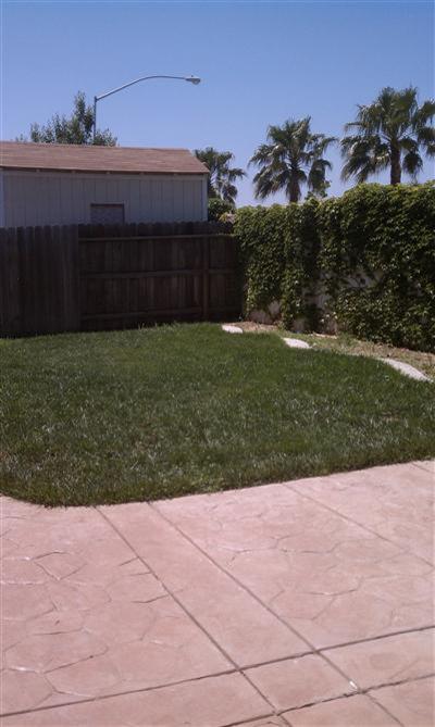 707 Beck Creek Ln, Patterson, CA 95363 photo 4