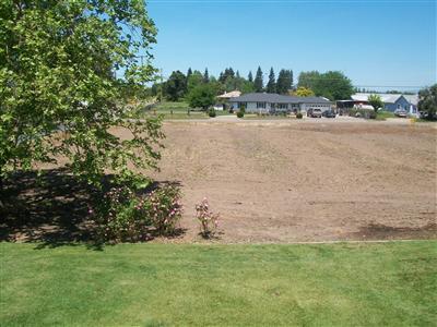 29282 Orange Ave, Escalon, CA 95320 photo 18