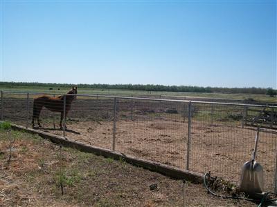 29282 Orange Ave, Escalon, CA 95320 photo 4
