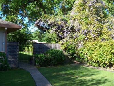 13055 Orange Rd, Wilton, CA 95693 photo 6