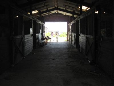 14100 W Middle Rd, Tracy, CA 95304 photo 3