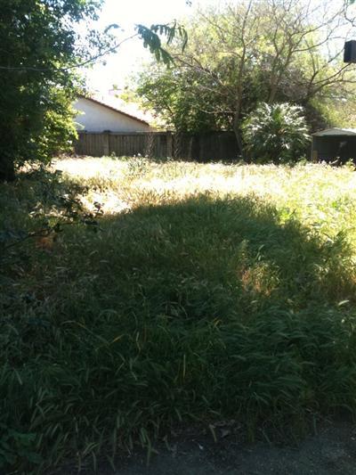 1928 Rouse Ct, Modesto, CA 95351 photo 5