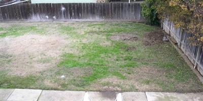 11902 E Harney Ln, Lodi, CA 95240 photo 15