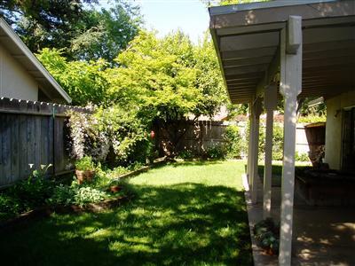 1008 Burlington Dr, Modesto, CA 95356 photo 19
