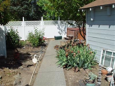10440 Lowell St, Elverta, CA 95626 photo 9