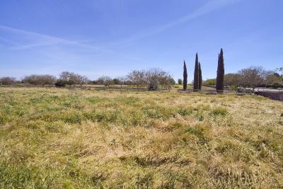 2100 Caravaggio Dr, Davis, CA 95618 photo 20