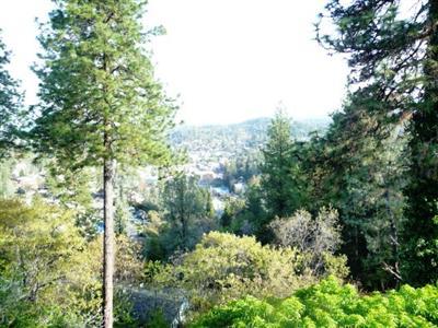 3350 Pardi Way, Placerville, CA 95667 photo 14