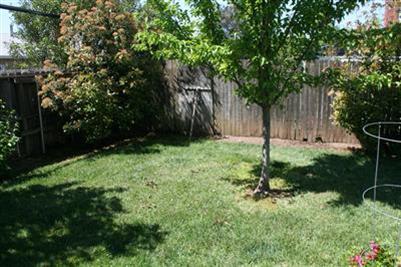 6216 Templeton Dr, Carmichael, CA 95608 photo 5