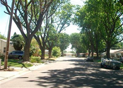 1006 Blair Ave, Modesto, CA 95350 photo 2