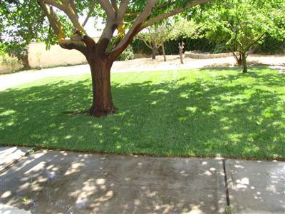 16479 Janice Pl, Lathrop, CA 95330 photo 14