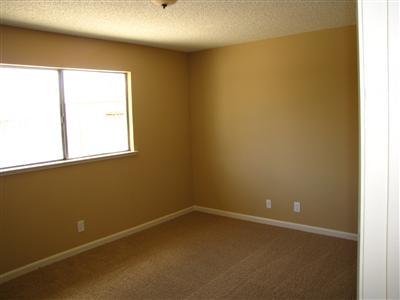 16479 Janice Pl, Lathrop, CA 95330 photo 11