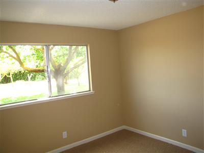 16479 Janice Pl, Lathrop, CA 95330 photo 13