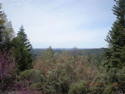 7221 Critter Ln, Georgetown, CA 95634 photo 2