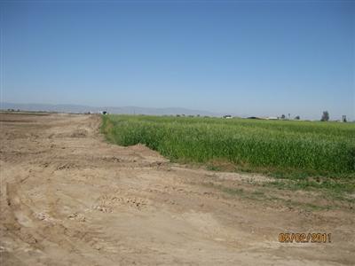 4807 S Mitchell Rd, Turlock, CA 95380 photo 6