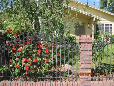 7901 Dominion Way, Elverta, CA 95626 photo 4