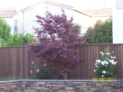 612 Morton Way, Tracy, CA 95377 photo 7
