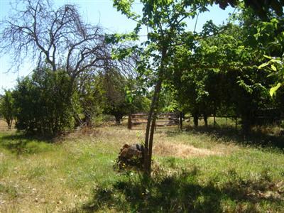 4106 Esmar Rd, Ceres, CA 95307 photo 10