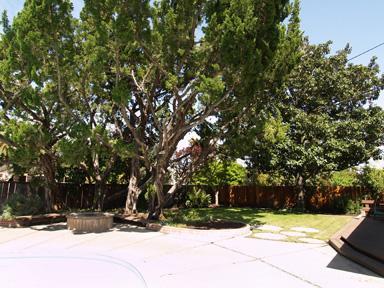 211 Audrey Ave, Modesto, CA 95350 photo 17