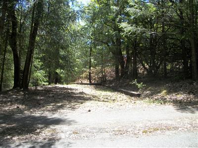 22345 Gunsight Rd, Colfax, CA 95713 photo 23
