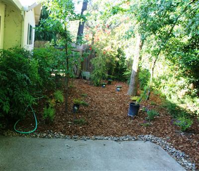 1812 Birch Ln, Davis, CA 95618 photo 13