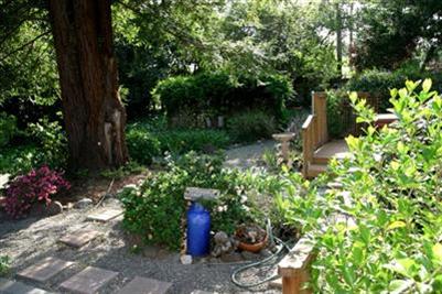 7339 Walnut Ave, Orangevale, CA 95662 photo 8