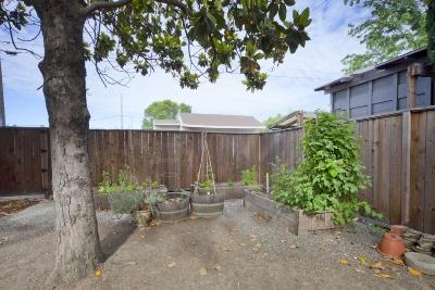 323 I, Davis, CA 95616 photo 10