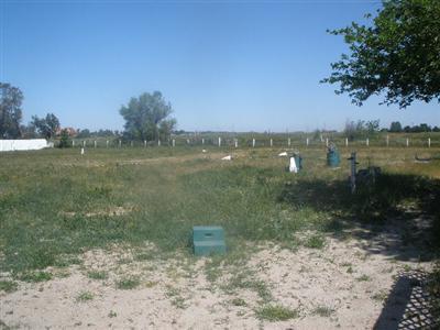 8781 Palladay Rd, Elverta, CA 95626 photo 7