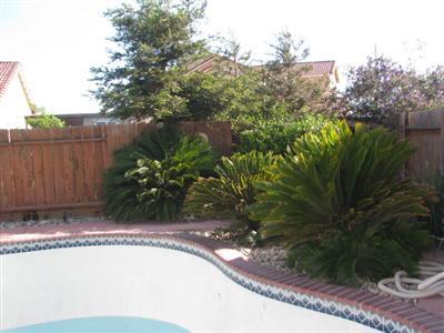 724 Del Sol Ct, Ceres, CA 95307 photo 4