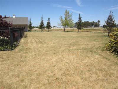 13041 Midway Ave, Galt, CA 95632 photo 6