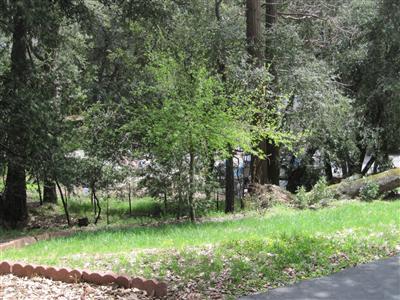 17276 Nile River Rd, Sonora, CA 95370 photo 13