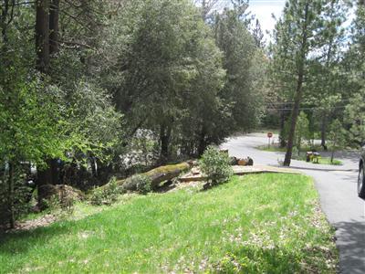 17276 Nile River Rd, Sonora, CA 95370 photo 11