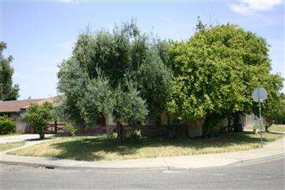 1016 Musick Ave, Modesto, CA 95351 photo 2