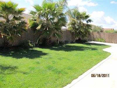 813 Eucalyptus Ave, Newman, CA 95360 photo 16