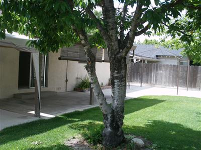 2080 Peace Way, Turlock, CA 95382 photo 7