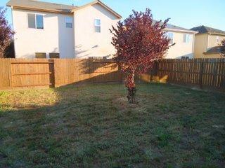 1908 Olivas Ct, Ceres, CA 95307 photo 12