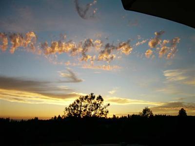 17259 Ruth Ct, Grass Valley, CA 95949 photo 21