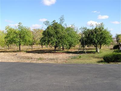 9961 Dillard Rd, Wilton, CA 95693 photo 12