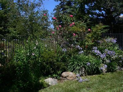 24816 Restive Way, Grass Valley, CA 95945 photo 3